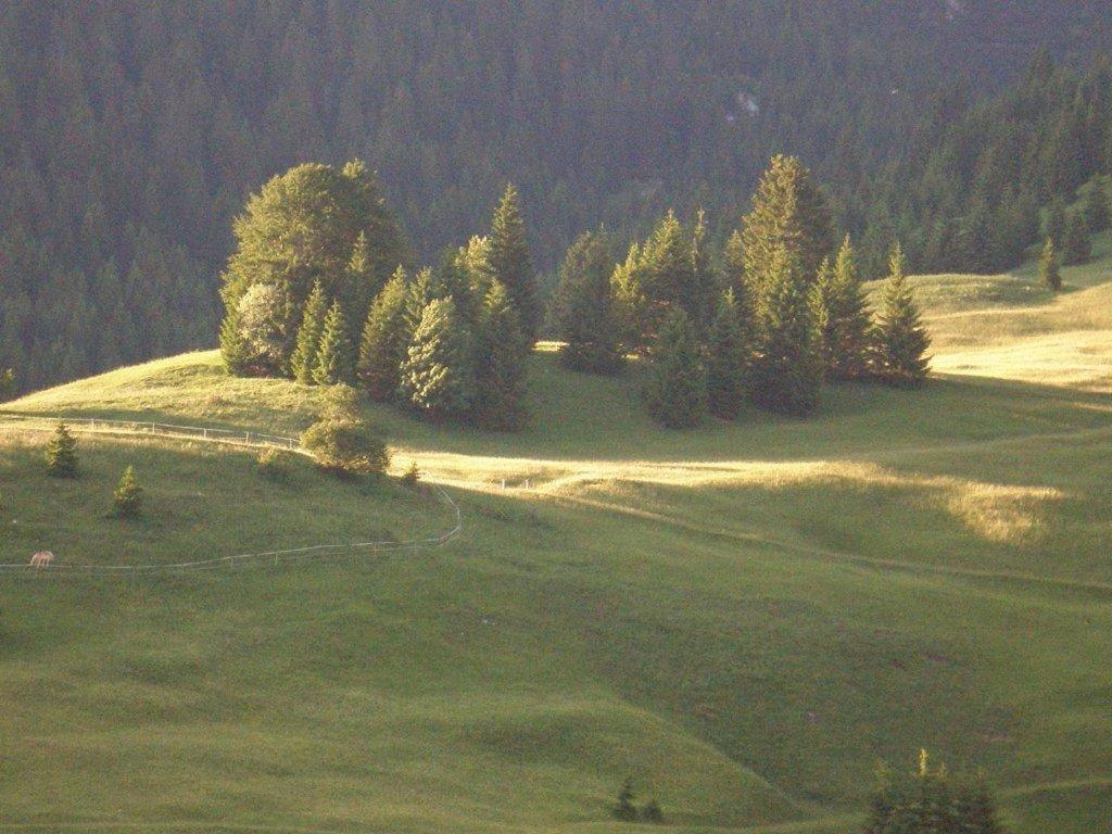 מלון Alpenhof "Alt Laehn" מראה חיצוני תמונה