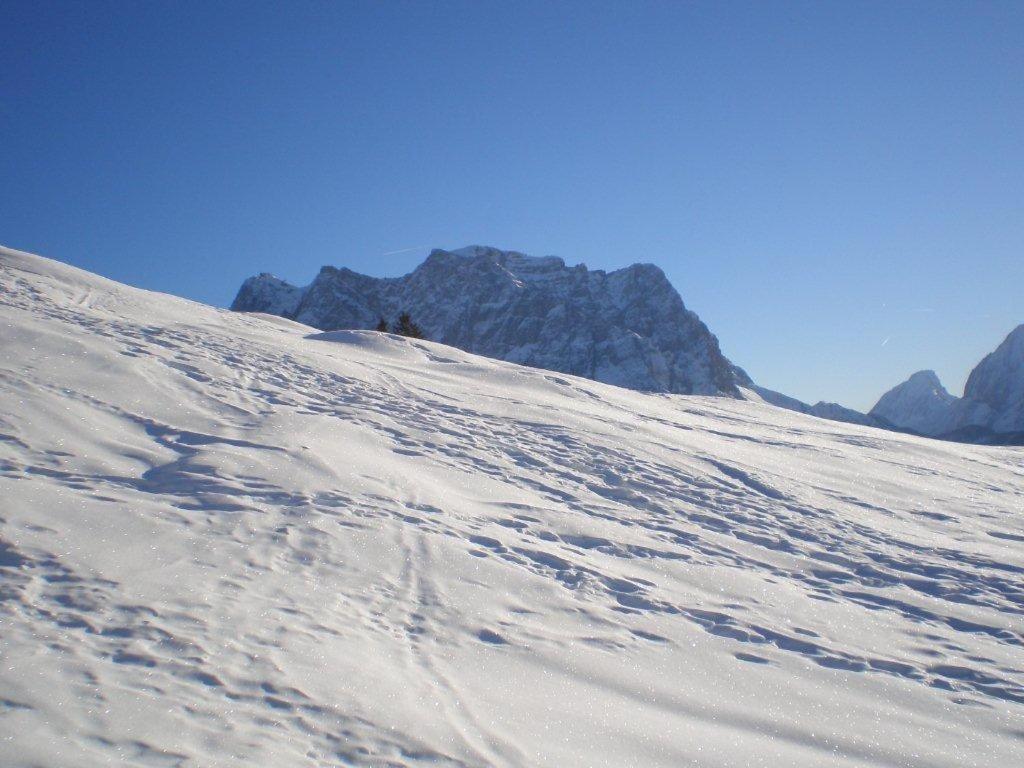 מלון Alpenhof "Alt Laehn" מראה חיצוני תמונה